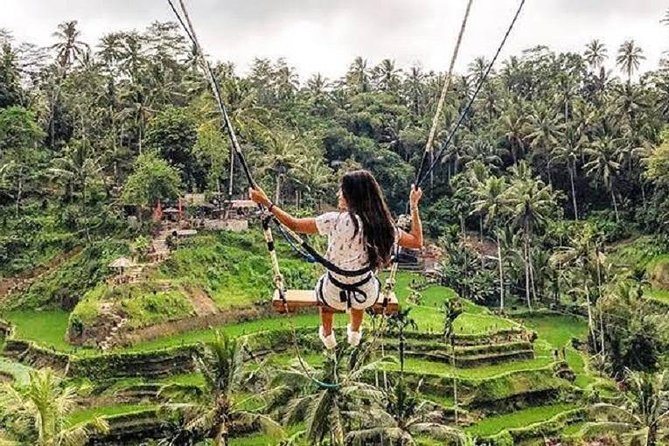 Best of Ubud Tour with Jungle Swing Private and All Inclusive - Jungle Swing at Alas Harum Bali: Best Photos, Best Feel, Real Cost Notes