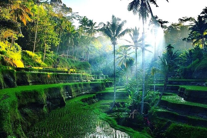 Best of Ubud - Ubud Tour Popular - All Inclusive - Why this Best of Ubud private route works so well