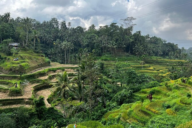 Best of Ubud - Ubud Tour Popular - All Inclusive - Pickup across Bali: where you can start this day