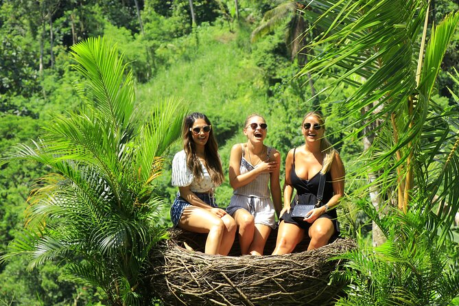 Best of Ubud Village Private Tour with Jungle Swing All Inclusive - Sacred Monkey Forest Sanctuary: Temples and Monkeys in a Real Hour