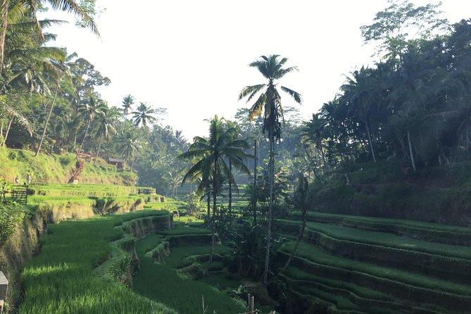 Best of Ubud Waterfalls, Tegalalang Rice Terrace and Swing Tour - Timing, shoes, and photo tips that save you from stress