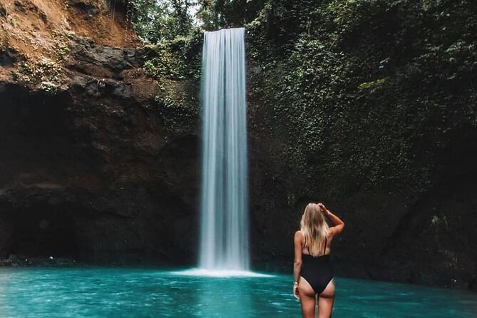 Best of Ubud Waterfalls, Tegalalang Rice Terrace and Swing Tour - Tegalalang Rice Terrace swing: where the views make your camera work