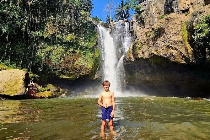 Best of Ubud Waterfalls, Tegalalang Rice Terrace & Jungle Swing - A tight route through Ubud’s best-known waterfalls and rice terrace