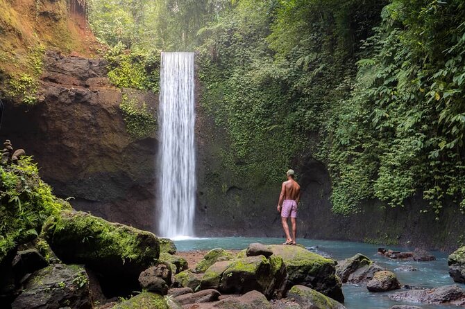 Best of Ubud: Waterfalls, Temple & Rice Terraces Private Day Tour - Tirta Empul Temple: Holy Spring Water and the Purification Ritual