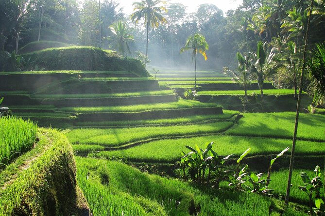Best of Ubud: Waterfalls, Temple & Rice Terraces Private Day Tour - Tegalalang Rice Terraces: UNESCO Subak Views and Phone-Friendly Stops