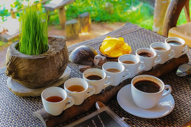 Best of Ubud: Waterfalls, Temple & Rice Terraces Private Day Tour - Price and Value: Why $31 Can Make Sense in Ubud