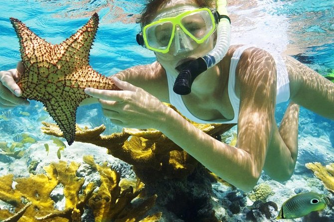 Best Snorkeling Trip at Blue Lagoon Bali - Getting From Ubud To Padang Bai Without Turning It Into a Job