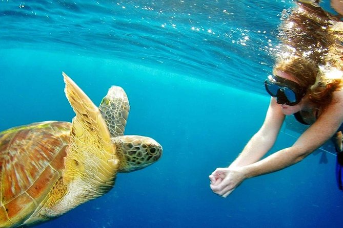 Best Snorkeling Trip at Blue Lagoon Bali - How the Day Actually Runs: The Flow From Shore to Reef