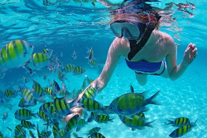 Best Snorkeling Trip at Blue Lagoon Bali - Blue Lagoon Beach: Your First Reef Stop and First Fish Encounters