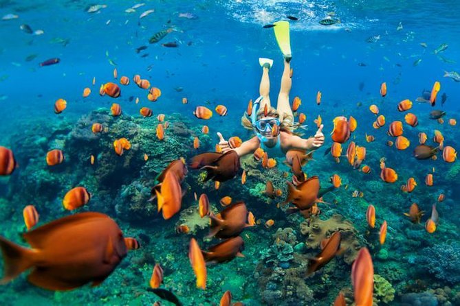 Best Snorkeling Trip at Blue Lagoon Bali - Price and Value: Why About $39 Can Still Feel Like a Win