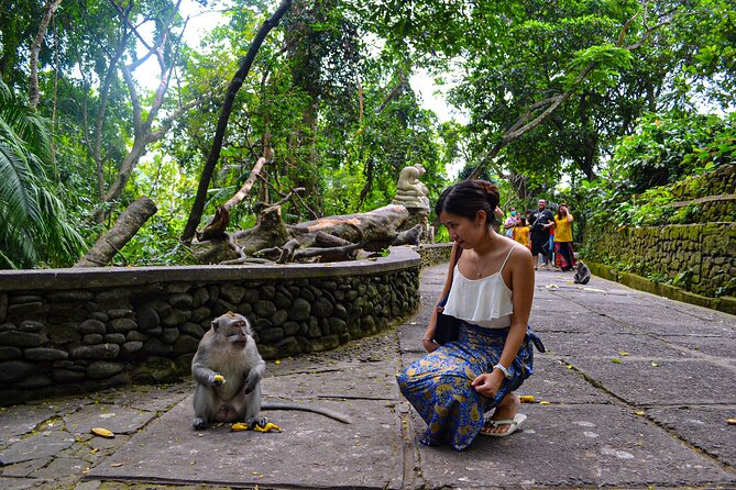 Best Ubud Highlights - Private Day Tour - Tickets, What You Actually Pay For, and How to Think About the Cost