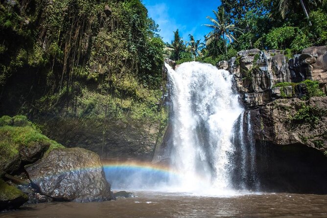 Best Ubud Tour with Instagrammable Jungle Swing all inclusive - The day in plain terms: how the route flows
