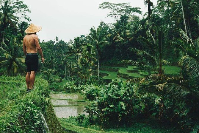 Best Ubud Tours -All inclusive with private driver - Key things to know before you go