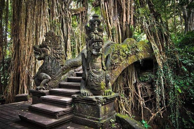 Best Ubud Tours -All inclusive with private driver - A private-driver Ubud day that feels like a shortcut