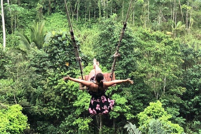 Best Ubud Tours -All inclusive with private driver - Pickup, timing, and how to plan your day