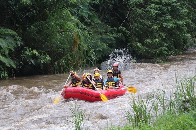 Best White Water Rafting in Bali - Ubud logistics, group size, and how to time it