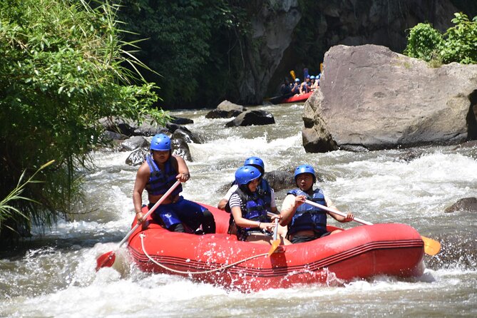 Best White Water Rafting & Lunch, Ubud - Safety Standards You Can Feel, Not Just Read