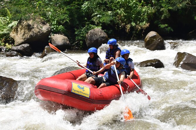 Best White Water Rafting & Lunch, Ubud - Price and Value: Is $27 Good for What You Get?