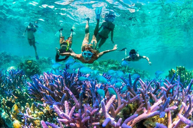 Bloo Lagoon Snorkeling East Bali Includes Transportation & Lunch - Blue Lagoon snorkeling: coral, tropical fish, and the chance at turtles