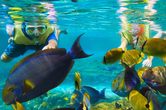 Bloo Lagoon Snorkeling East Bali Includes Transportation & Lunch - Lunch and the included comforts that keep the day moving