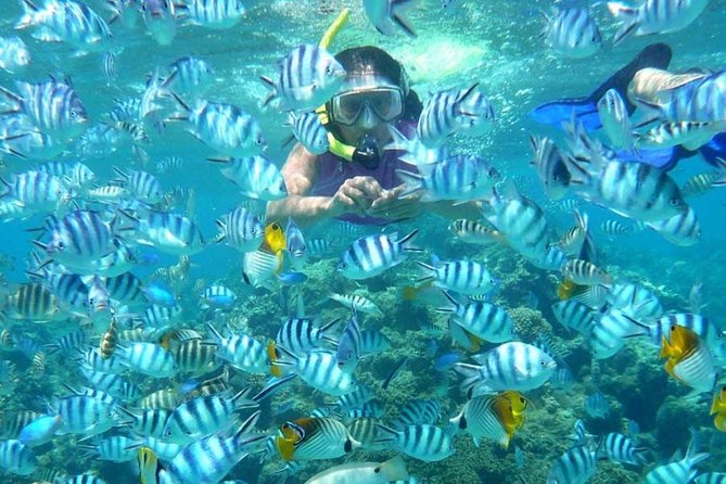 Bloo Lagoon Snorkeling East Bali Includes Transportation & Lunch - Price and value: what $82.50 buys you in the real world