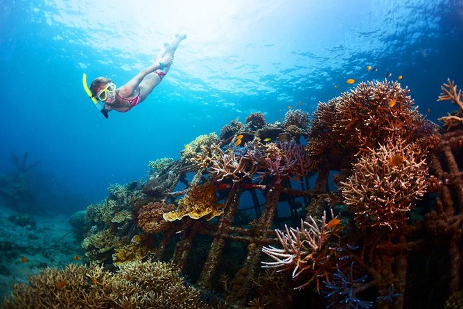 Bloo Lagoon Snorkeling East Bali Includes Transportation & Lunch - Who this snorkeling trip suits best (and who should reconsider)