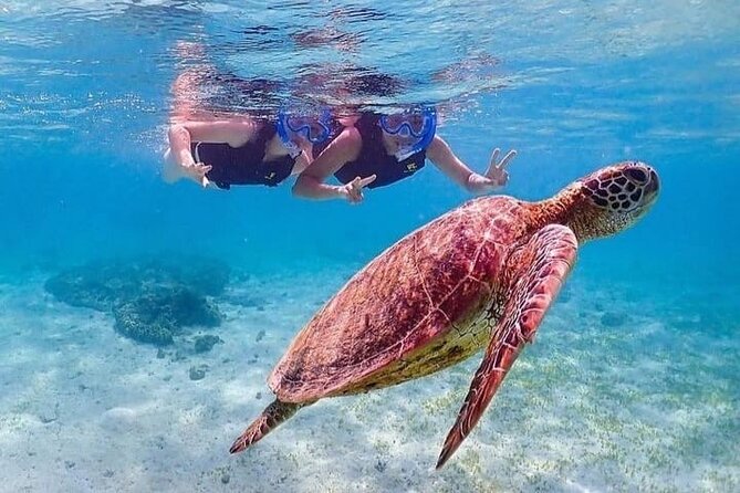 Bloo Lagoon Snorkeling East Bali Includes Transportation & Lunch - Kusamba black-sand beach: a calm stop that balances the snorkeling