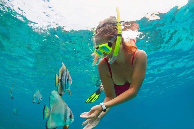 Blue Lagoon Snorkeling and Lunch - Ubud Monkey Forest - Waterfall - Blue Lagoon and Tanjung Jepun snorkeling, with guidance that matters