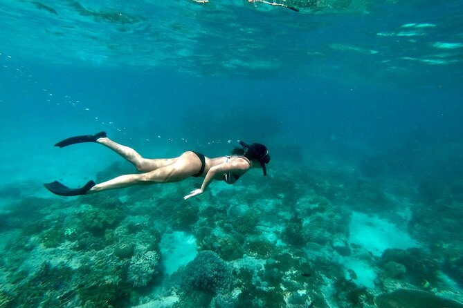 Blue Lagoon Snorkeling and Lunch - Ubud Monkey Forest - Waterfall - Ubud Monkey Forest as the final stop, easy to tack on