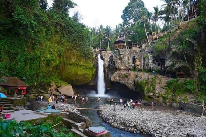 Blue Lagoon Snorkeling and Lunch - Ubud Monkey Forest - Waterfall - Who this trip suits best