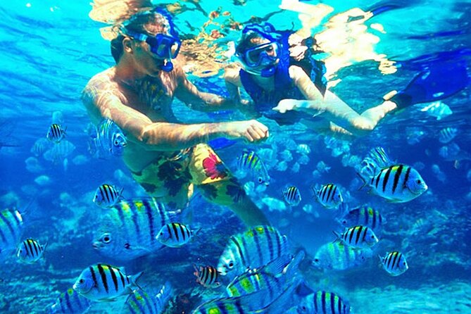 Blue Lagoon Snorkeling and Lunch - Ubud Monkey Forest - Waterfall - A simple checklist to feel comfortable all day