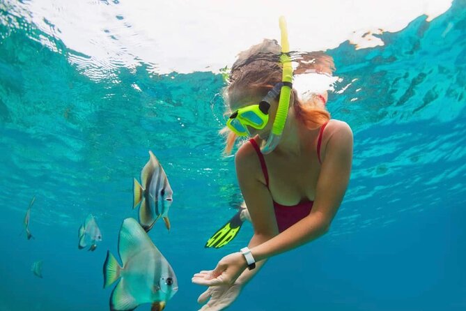 Blue Lagoon Snorkeling and Lunch with Private Transfer - Snorkel Timing and Comfort Tips Before You Get in the Water