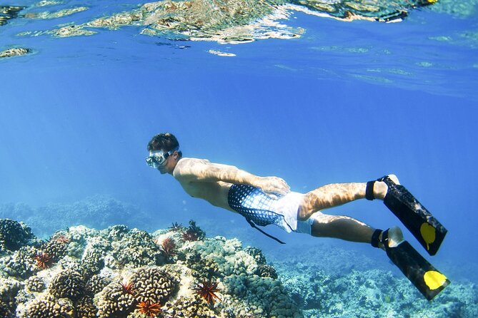 Blue Lagoon Snorkeling and Lunch with Private Transfer - Indonesian Lunch at Topi Inn in Padangbai, The Reset You Need