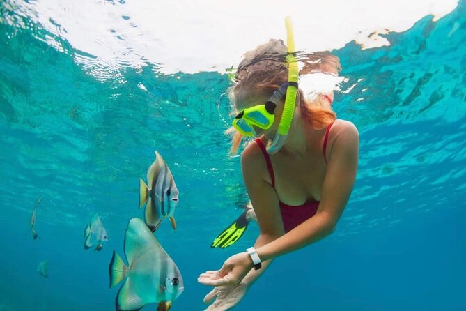 Blue Lagoon Snorkeling and Lunch with Tukad Cepung Waterfall - Key Points Worth Your Attention