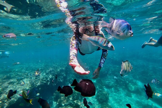Blue Lagoon Snorkeling and Lunch with Tukad Cepung Waterfall - Tukad Cepung Waterfall: Easy Walk Down, Knee-High Wading Up Close