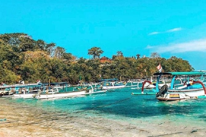 Blue Lagoon Snorkeling and Lunch with Visit Tegenungn Waterfall in Ubud - Who Should Book This Blue Lagoon and Tegenungan Day