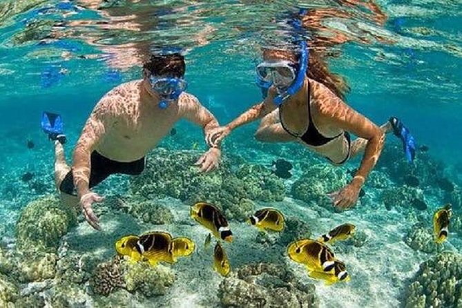 Blue Lagoon Snorkeling and Lunch with Visit Tegenungn Waterfall in Ubud - Blue Lagoon Snorkeling: Two Spots, One Calm Reef Area