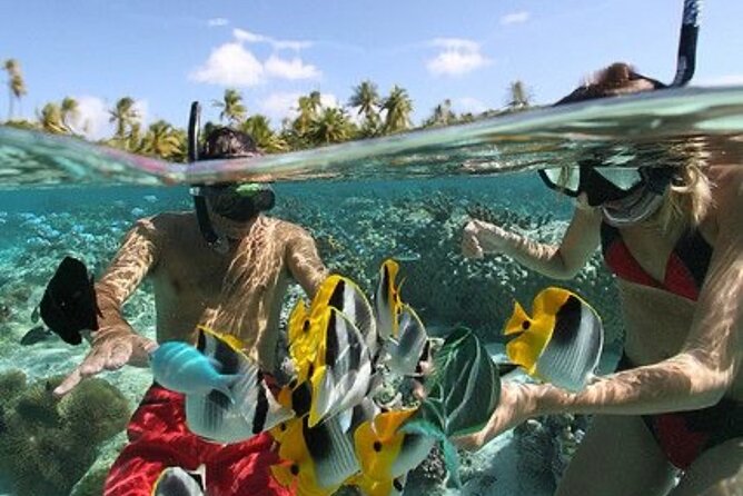 Blue Lagoon Snorkeling - Lunch - Kantolampo - Tibumana Waterfall - Who should book this snorkeling plus two waterfalls day?