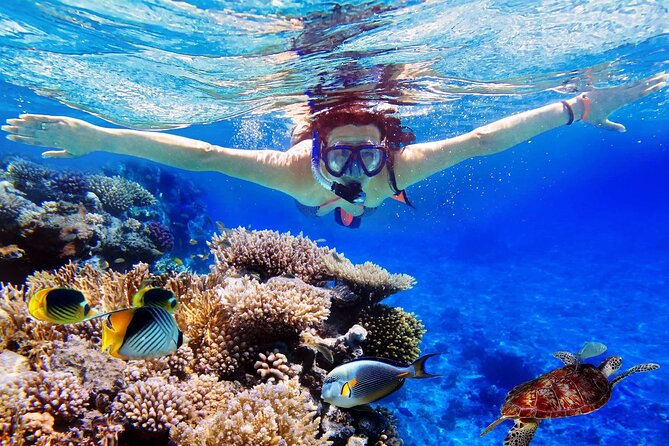 Blue Lagoon & Tanjung Jepun Snorkeling Private Tour - Key points to know before you book