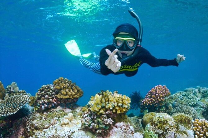 Blue Lagoon & Tanjung Jepun Snorkeling Private Tour - How the Ubud to Padang Bai trip shapes your day (and keeps it realistic)