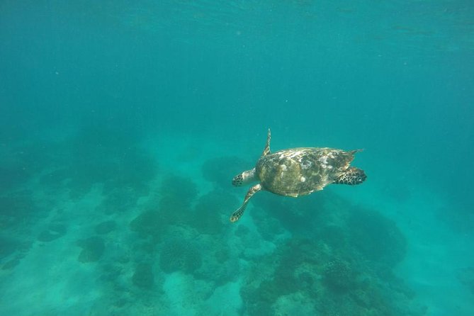 Blue Lagoon & Tanjung Jepun Snorkeling Private Tour - Lunch, bottled water, and getting cleaned up: the difference between a trip and a chore