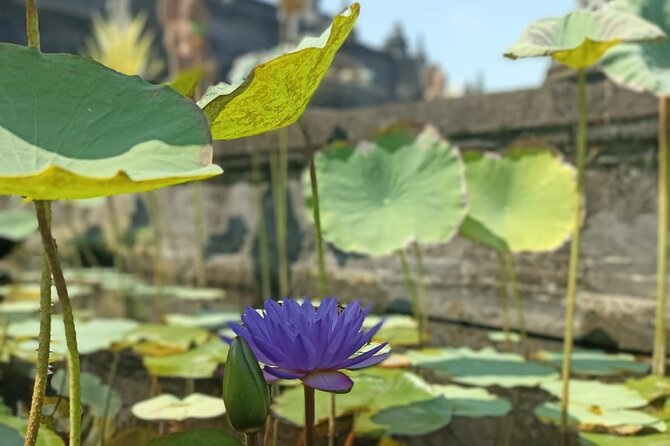 Brahmavihara Arama Banjar Hot Spring Ulundanu Bratan Private Tour - Stop 3: Northview Bali in Munduk, Coffee and Meal Time