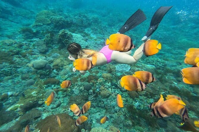 Buggy Bali UTV Adventure in Ubud with optional Hotel Transfer - Buggy Bali UTV and Snorkeling in Ubud: What This Day Feels Like
