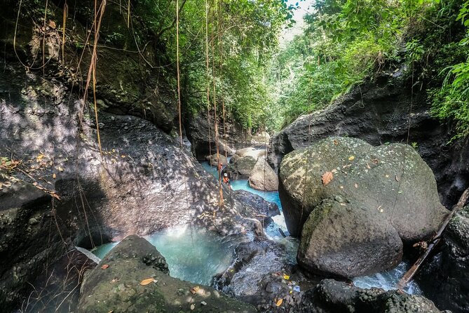 Canyoning Bali, Blue Gorge Canyon (Adventure, discovery, nature) - Getting to the river: a short downhill walk with real payoff
