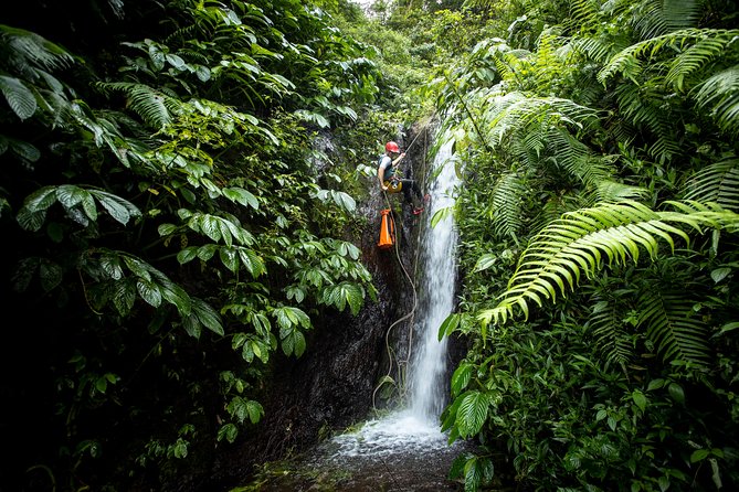 Canyoning Bali, Tamata Canyon (Adventure, discovery, nature) - Tamata Canyon from Ubud: jungle action with a serious payoff