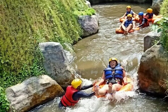 Cave Tubing Adventure & Rice terrace - The Rice Terrace Stop at Tegallalang, Photos, Swing, and Reality Check