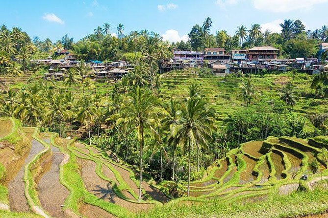 Central Bali Tour: Ubud Village, Kintamani Volcano, and Waterfall - Price and logistics: is $70 per person good value?