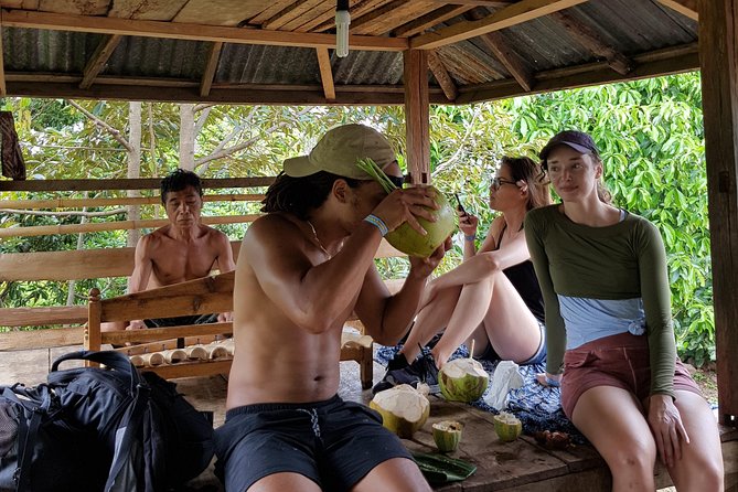 Cliff Jumping and Sliding at Aling Aling Waterfall - Best time and weather reality for north Bali waterfalls