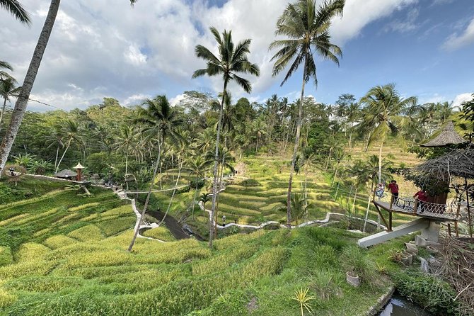 coconut wine and coffee safary tour - What you taste at the plantation, coffees and teas