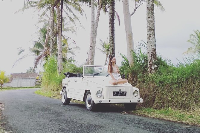 Daily VW Tour - Ubud VW Tour - Entrance fees, donations, and what’s actually included in the day
